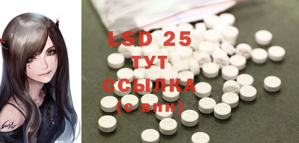 индика Бугульма