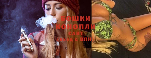 индика Бугульма
