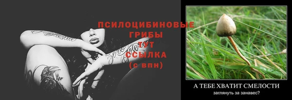 стафф Бронницы