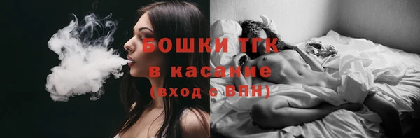 прущий лед Бородино