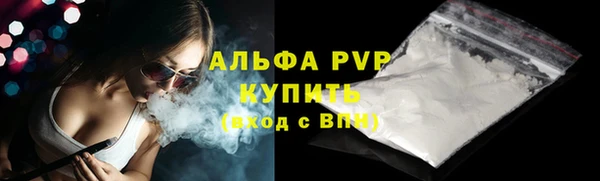 прущий лед Бородино