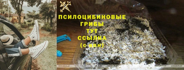 прущий лед Бородино
