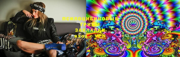 индика Бугульма