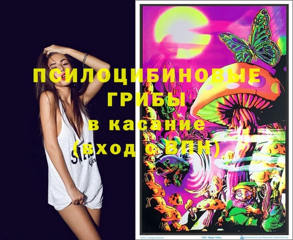стафф Бронницы