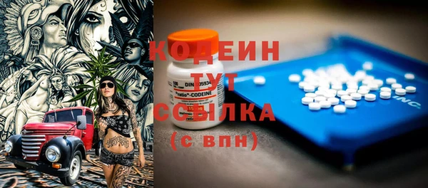прущий лед Бородино