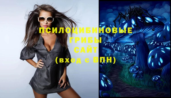 стафф Бронницы
