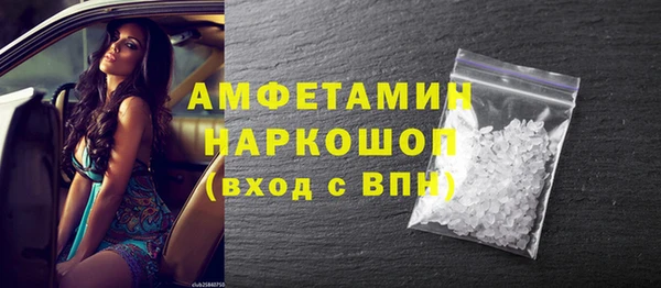 прущий лед Бородино